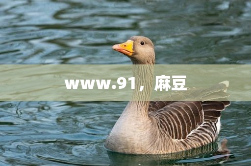 www.91，麻豆