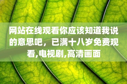 网站在线观看你应该知道我说的意思吧，已满十八岁免费观看,电视剧,高清画面