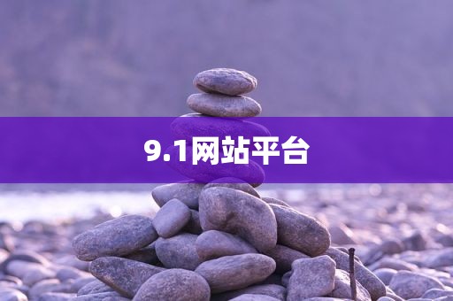 9.1网站平台