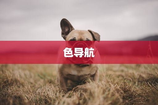色导航