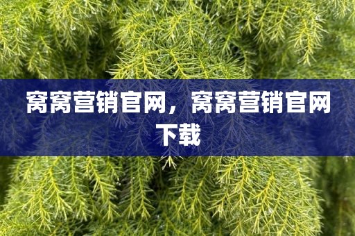 窝窝营销官网，窝窝营销官网下载