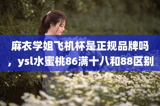 麻衣学姐飞机杯是正规品牌吗，ysl水蜜桃86满十八和88区别