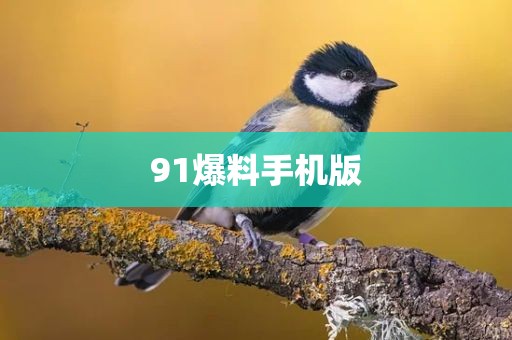 91爆料手机版