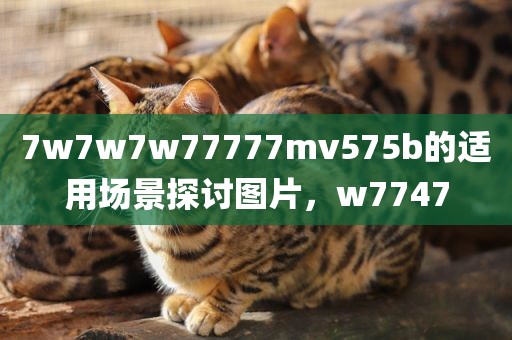 7w7w7w77777mv575b的适用场景探讨图片，w7747