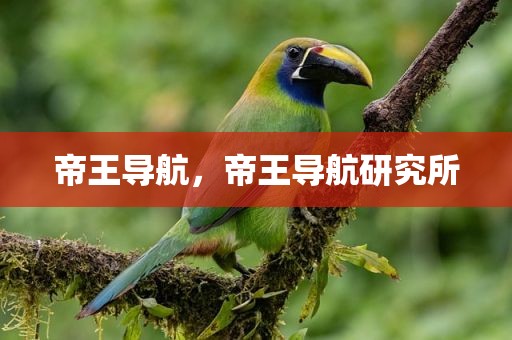 帝王导航，帝王导航研究所