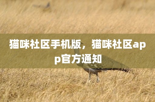 猫咪社区手机版，猫咪社区app官方通知