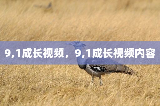 9,1成长视频，9,1成长视频内容