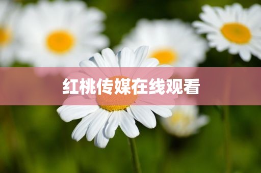 红桃传媒在线观看