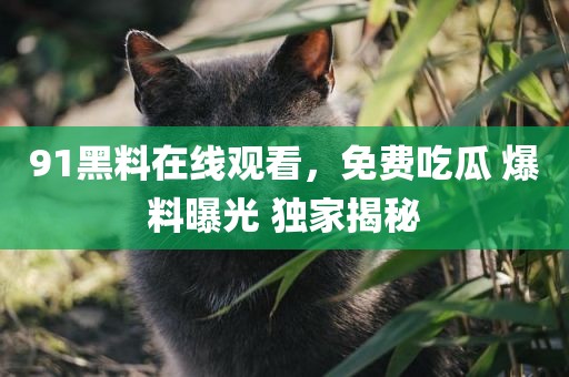 91黑料在线观看，免费吃瓜 爆料曝光 独家揭秘