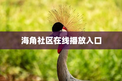 海角社区在线播放入口