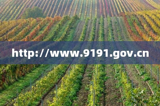 http://www.9191.gov.cn