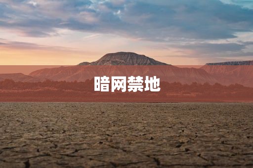 暗网禁地