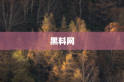 黑料网