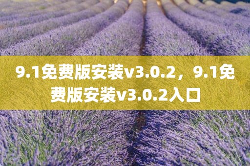 9.1免费版安装v3.0.2，9.1免费版安装v3.0.2入口