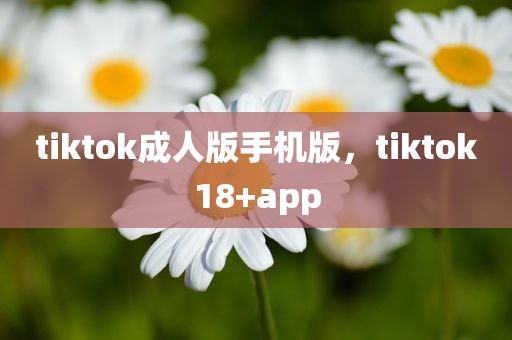 tiktok成人版手机版，tiktok18+app