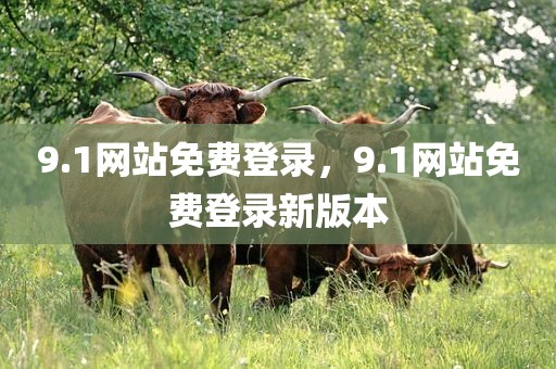 9.1网站免费登录，9.1网站免费登录新版本