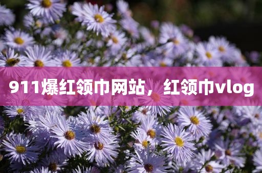 911爆红领巾网站，红领巾vlog