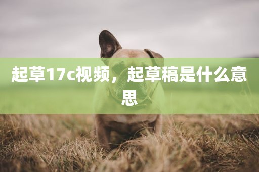 起草17c视频，起草稿是什么意思