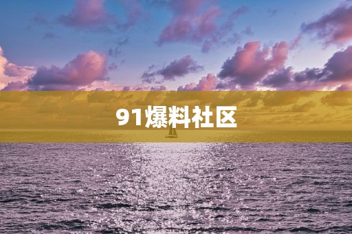 91爆料社区