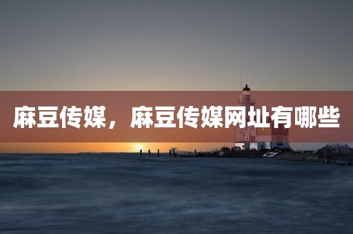 麻豆传媒，麻豆传媒网址有哪些