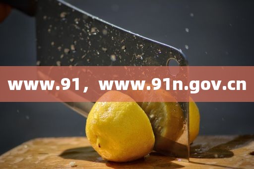 www.91，www.91n.gov.cn