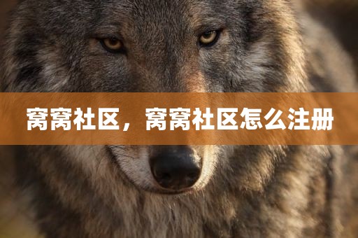 窝窝社区，窝窝社区怎么注册