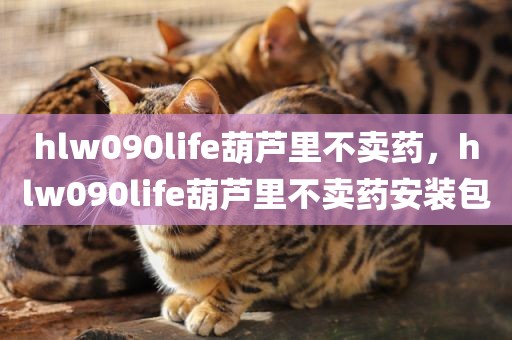 hlw090life葫芦里不卖药，hlw090life葫芦里不卖药安装包