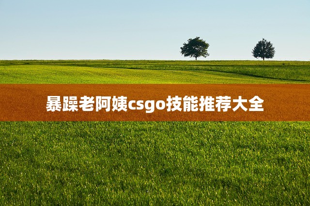 暴躁老阿姨csgo技能推荐大全