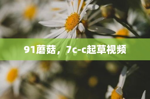 91蘑菇，7c-c起草视频