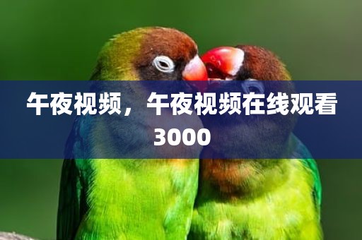 午夜视频，午夜视频在线观看3000