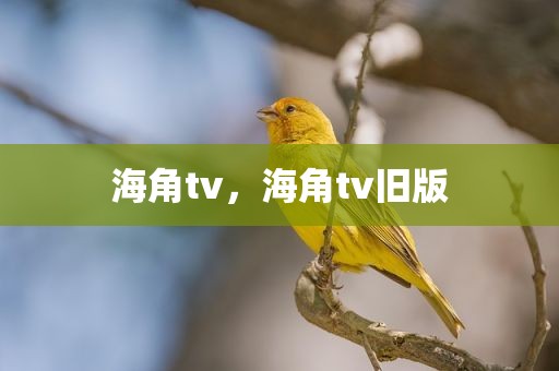 海角tv，海角tv旧版
