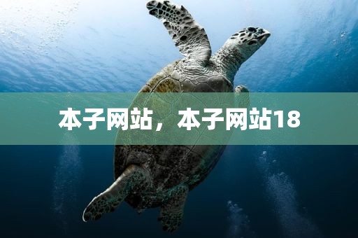 本子网站，本子网站18