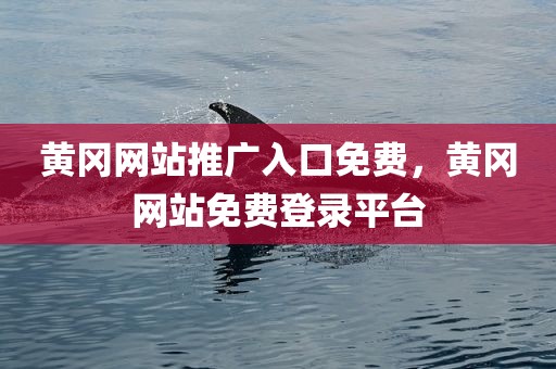 黄冈网站推广入口免费，黄冈网站免费登录平台