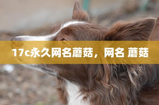 17c永久网名蘑菇，网名 蘑菇