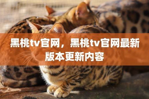 黑桃tv官网，黑桃tv官网最新版本更新内容