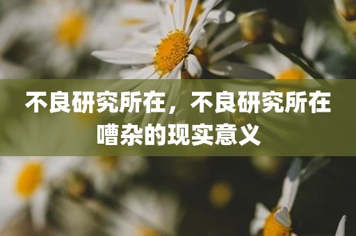 不良研究所在，不良研究所在嘈杂的现实意义