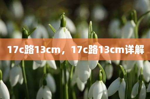 17c路13cm，17c路13cm详解