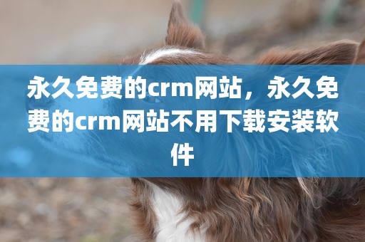 永久免费的crm网站，永久免费的crm网站不用下载安装软件