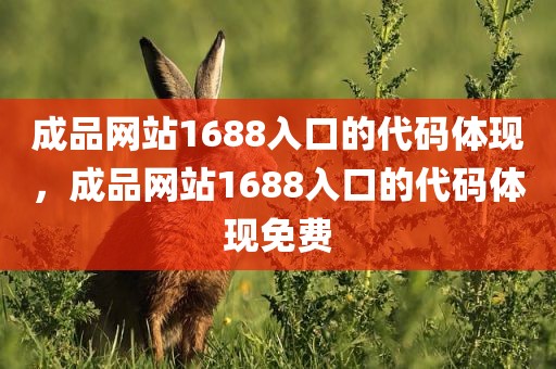 成品网站1688入口的代码体现，成品网站1688入口的代码体现免费