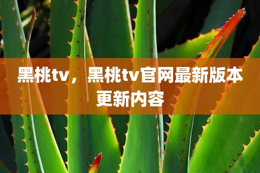 黑桃tv，黑桃tv官网最新版本更新内容