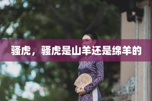 骚虎，骚虎是山羊还是绵羊的