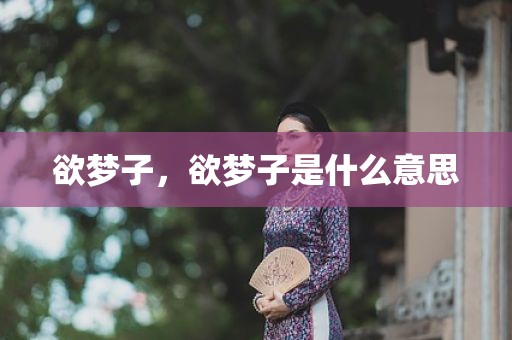 欲梦子，欲梦子是什么意思