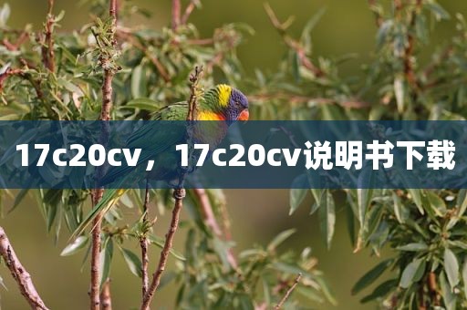 17c20cv，17c20cv说明书下载