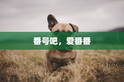 番号吧，爱番番