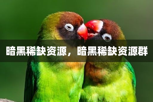 暗黑稀缺资源，暗黑稀缺资源群