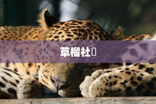 草榴社區