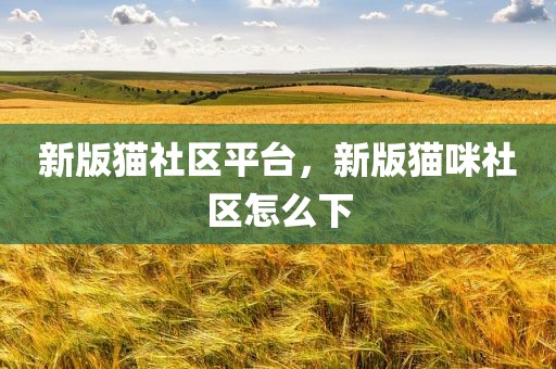 新版猫社区平台，新版猫咪社区怎么下