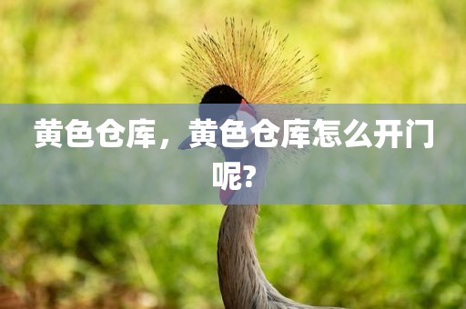 黄色仓库，黄色仓库怎么开门呢?