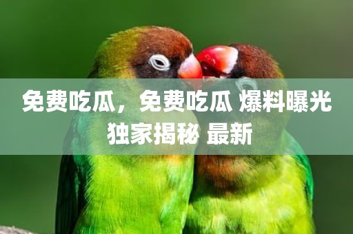 免费吃瓜，免费吃瓜 爆料曝光 独家揭秘 最新