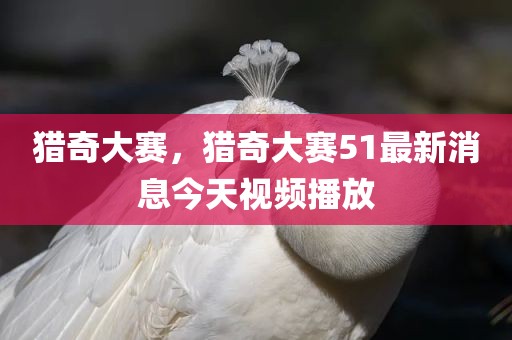 猎奇大赛，猎奇大赛51最新消息今天视频播放